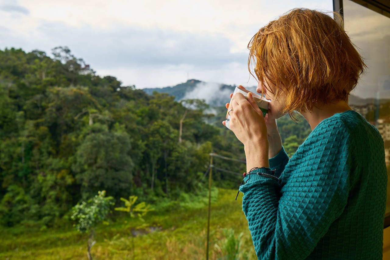 Wrapping Up Our Jamaican Coffee Adventure