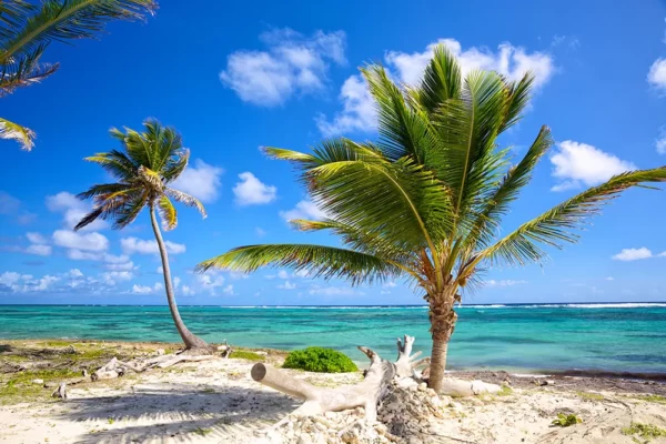 Caribbean 30 Days 15GB